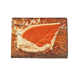 Hydrostone voor shag