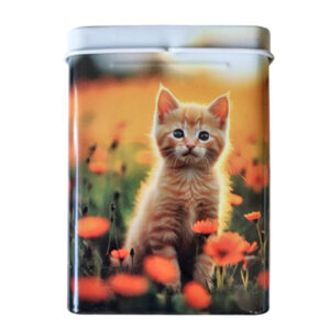 Sigarettendoosje kitten rood