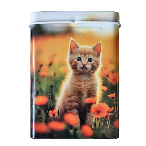 Sigarettendoosje kitten rood