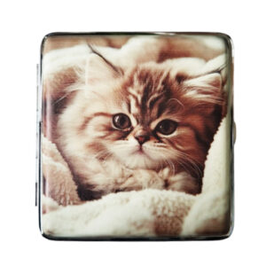 Sigarettenkoker kitten in deken bruin