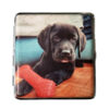 Sigarettenkoker labrador pup