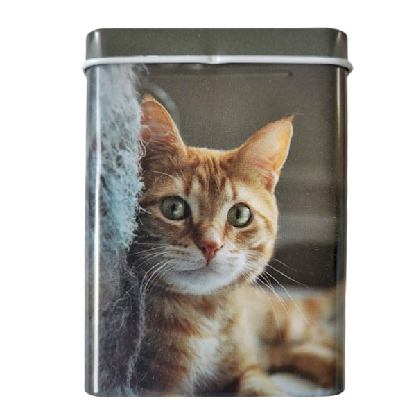 leuk sigarettenblikje met een rode kat