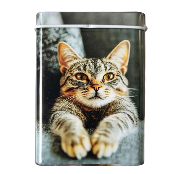 leuk sigarettenblikje met een cyperse kat