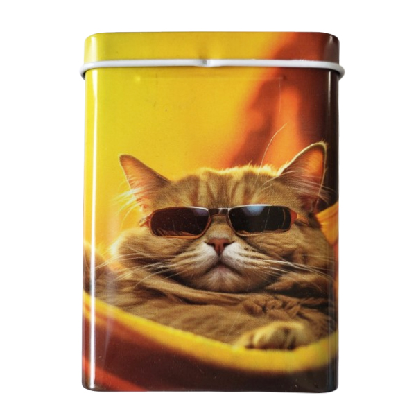 leuk sigarettenblikje met een rode kat met zonnebril op