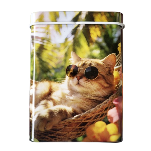 Leuk sigarettenblikje met een rode kat met een zonnebril op die ligt te chillen in een hangmat